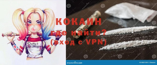 сатива Аркадак